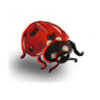 Cosmic Critters Sticker Pack